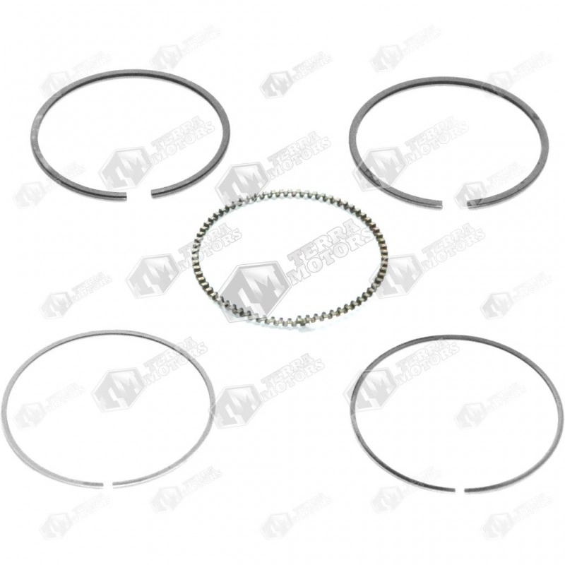 Segmenti Briggs and Stratton Quantum, Sprint 4.5cp, 5.5cp 68.25mm 499425, 499631 (Terra) 